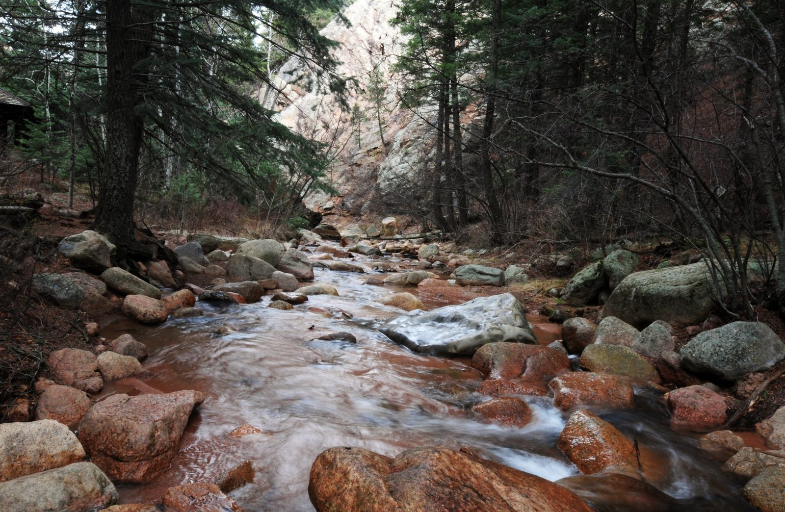 A quiet Colorado creek — counseling for trauma, anxiety, and life transitions